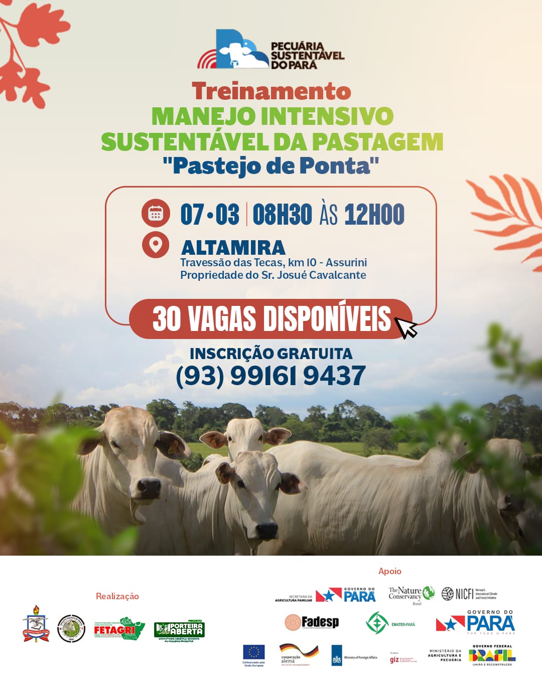 Imagem é um cartaz que informa sobre treinamento de manejo sustentável de pastagem, em uma paisagem com bois brancos ao centrocom bois 