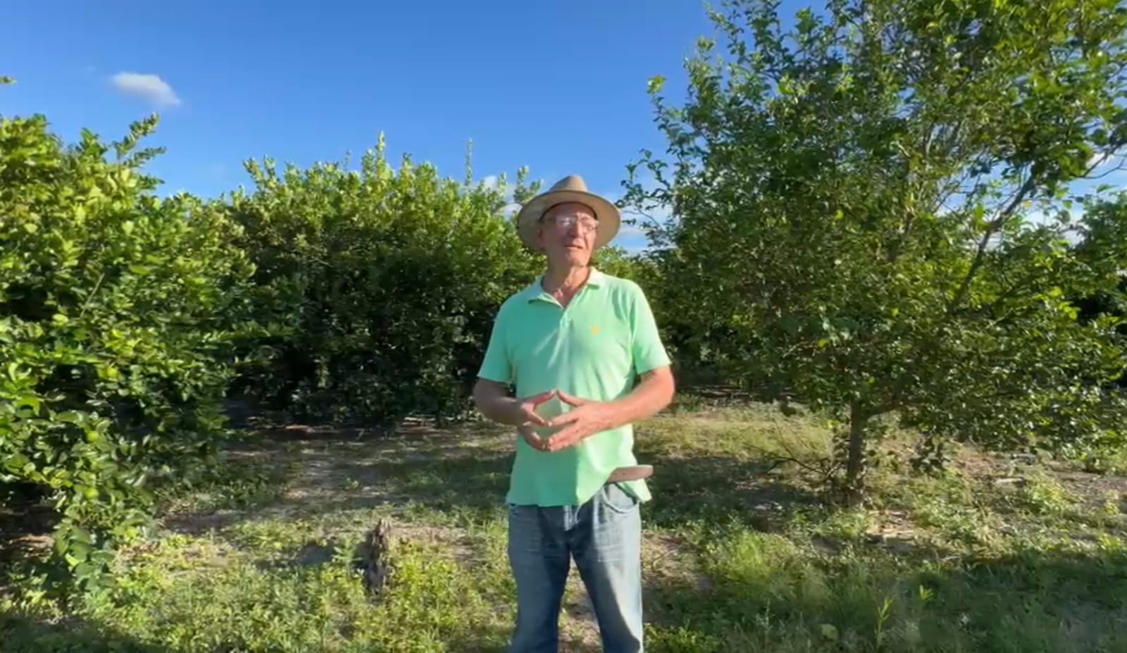 Imagem motra homem de meia idade, branco, camisa verde clara, chapeu, de pé em área de plantação