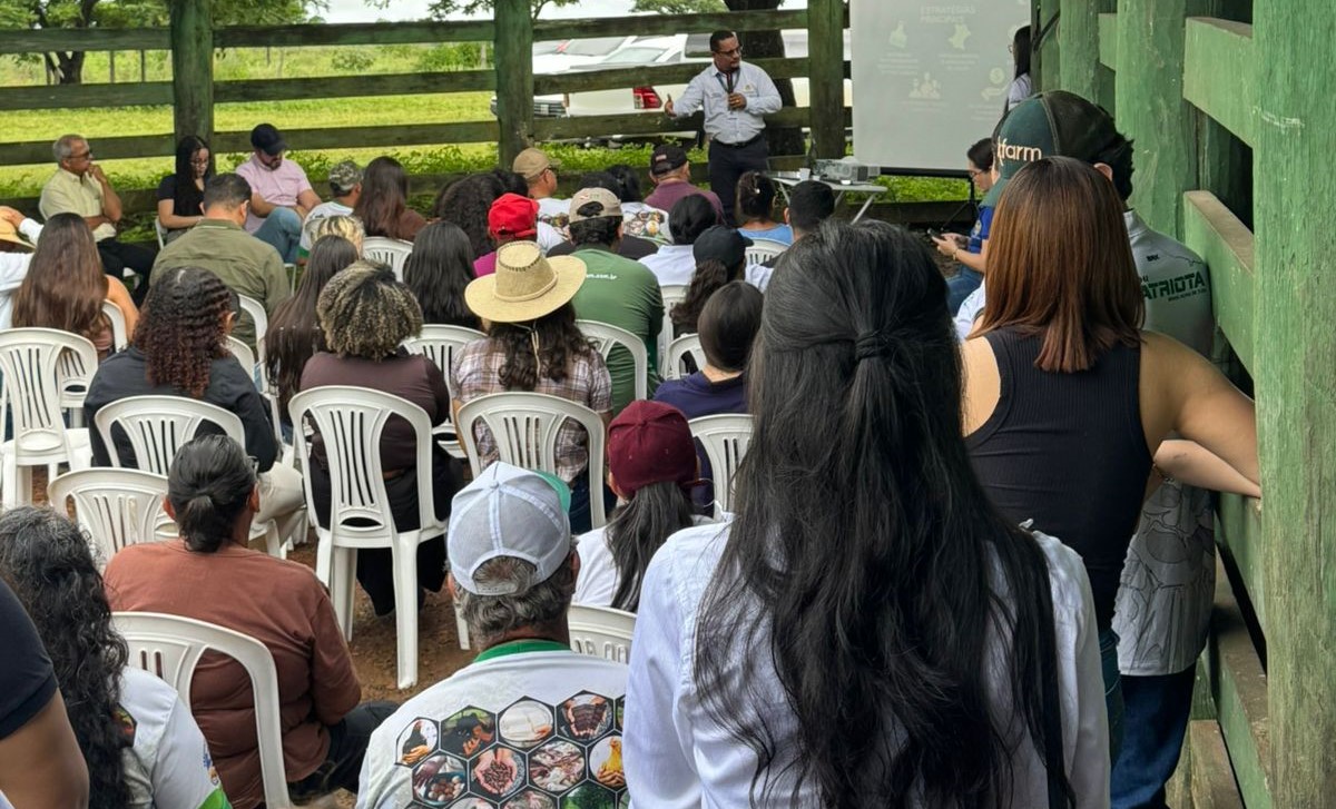 Imagem mostra público de costas, sentado assistindo homem à frente de pé, ao microfone